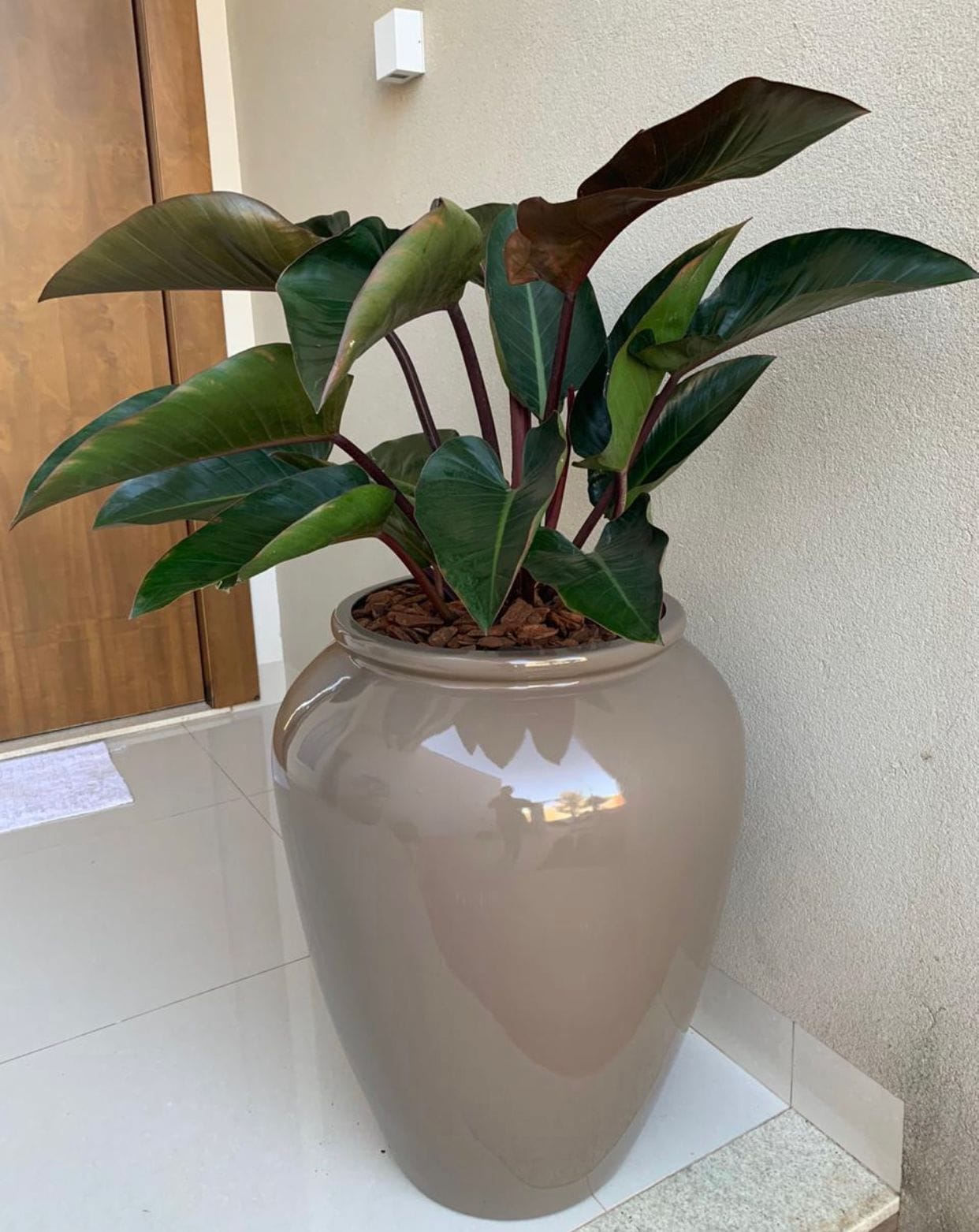 Vaso em Fibra de Vidro Estilo Vietnamita Asteca Avelã