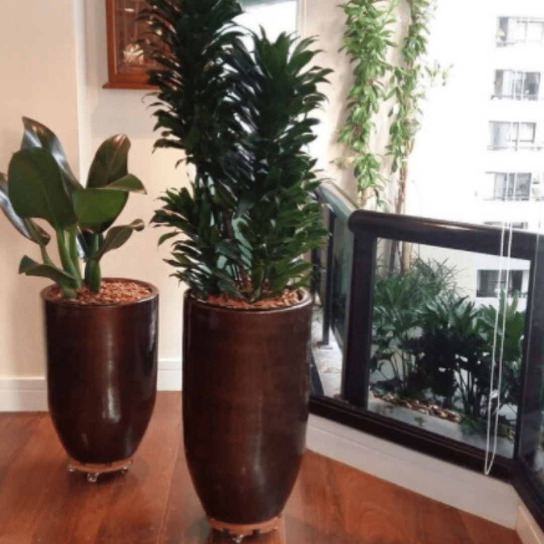 Vaso Vietnamita Caribe Marrom